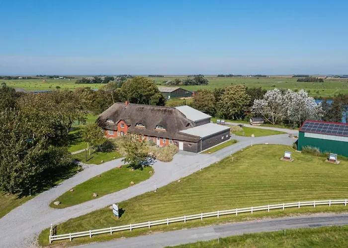 7 Langeness Id 476 塔廷格